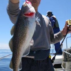 Aquanaut(アクアノート) 釣果