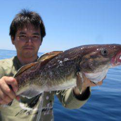 Aquanaut(アクアノート) 釣果