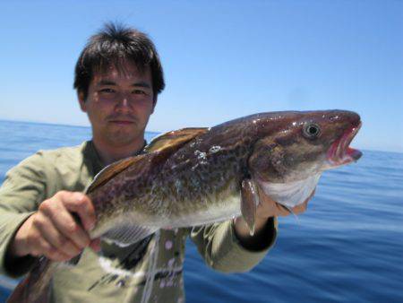 Aquanaut(アクアノート) 釣果