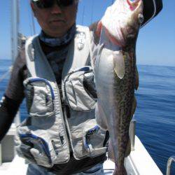 Aquanaut(アクアノート) 釣果