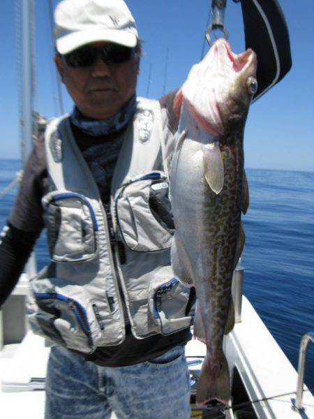 Aquanaut(アクアノート) 釣果