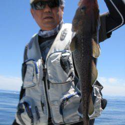 Aquanaut(アクアノート) 釣果