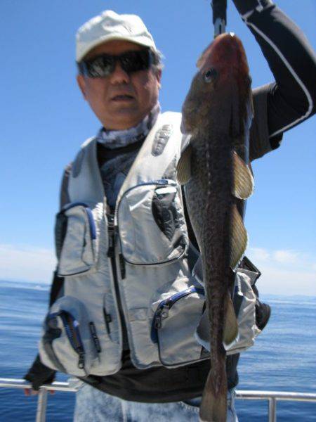 Aquanaut(アクアノート) 釣果