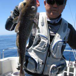 Aquanaut(アクアノート) 釣果