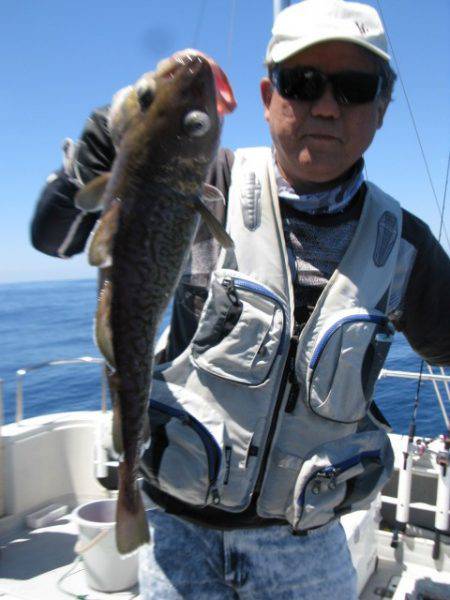 Aquanaut(アクアノート) 釣果