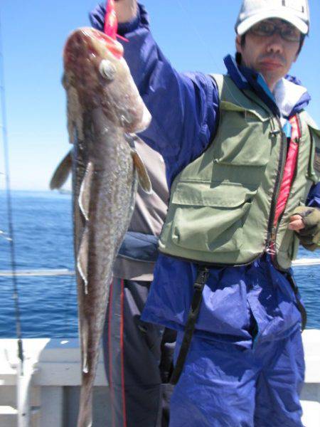 Aquanaut(アクアノート) 釣果