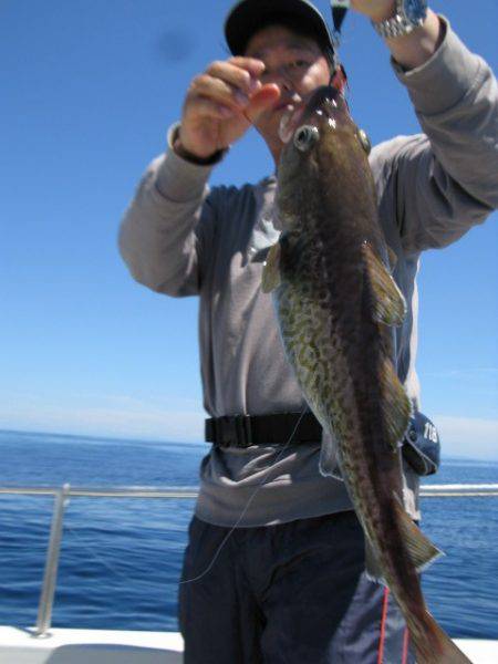 Aquanaut(アクアノート) 釣果