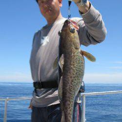 Aquanaut(アクアノート) 釣果