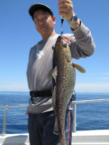 Aquanaut(アクアノート) 釣果