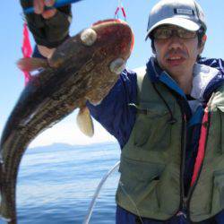 Aquanaut(アクアノート) 釣果