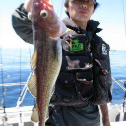 Aquanaut(アクアノート) 釣果