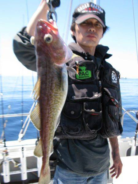 Aquanaut(アクアノート) 釣果