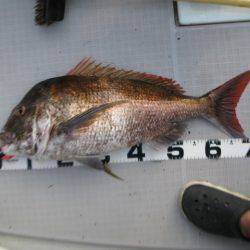 Aquanaut（アクアノート） 釣果