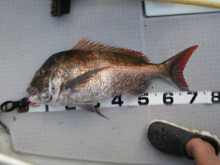 Aquanaut（アクアノート） 釣果