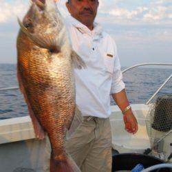 Aquanaut（アクアノート） 釣果