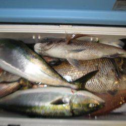 Aquanaut（アクアノート） 釣果