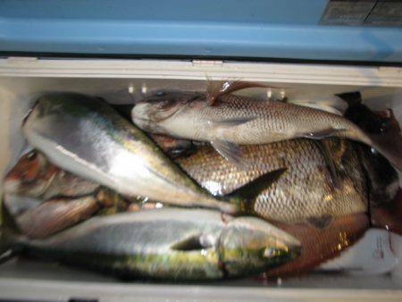 Aquanaut（アクアノート） 釣果