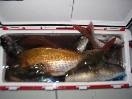 Aquanaut(アクアノート) 釣果