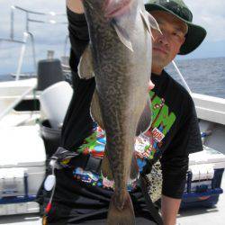 Aquanaut(アクアノート) 釣果