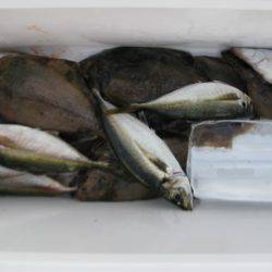 Aquanaut(アクアノート) 釣果