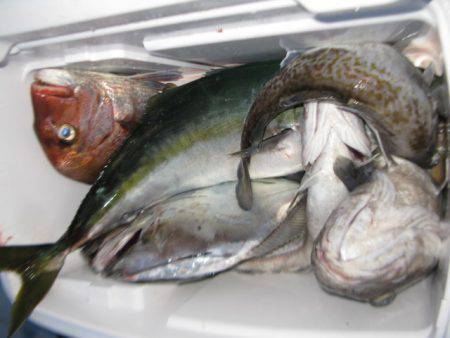 Aquanaut(アクアノート) 釣果