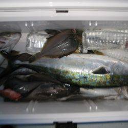 Aquanaut(アクアノート) 釣果