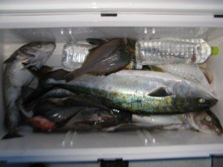 Aquanaut(アクアノート) 釣果