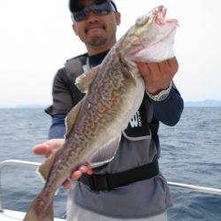 Aquanaut(アクアノート) 釣果