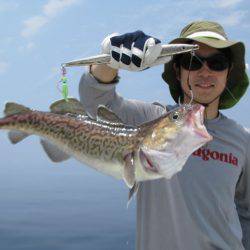 Aquanaut（アクアノート） 釣果