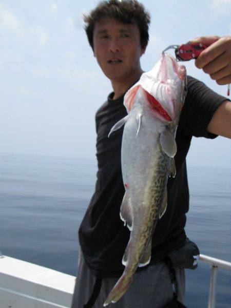 Aquanaut（アクアノート） 釣果