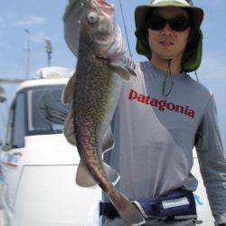 Aquanaut（アクアノート） 釣果