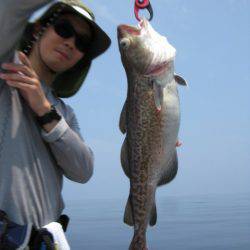 Aquanaut（アクアノート） 釣果