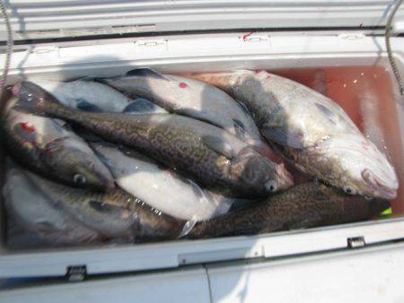 Aquanaut（アクアノート） 釣果