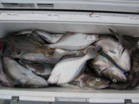 Aquanaut（アクアノート） 釣果