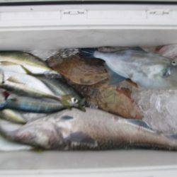 Aquanaut(アクアノート) 釣果