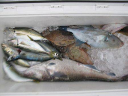 Aquanaut(アクアノート) 釣果