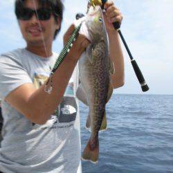 Aquanaut(アクアノート) 釣果