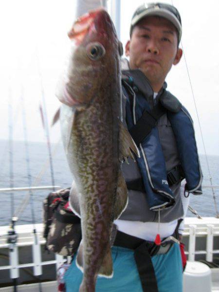 Aquanaut(アクアノート) 釣果