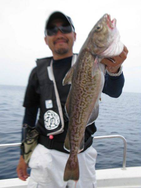 Aquanaut(アクアノート) 釣果