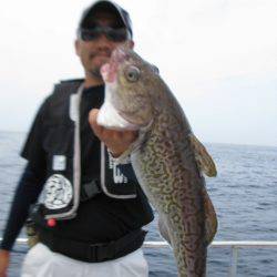 Aquanaut(アクアノート) 釣果