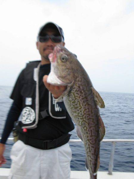 Aquanaut(アクアノート) 釣果