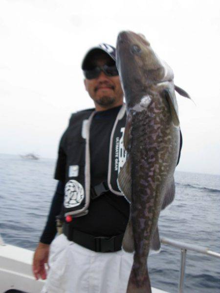 Aquanaut(アクアノート) 釣果