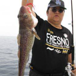 Aquanaut(アクアノート) 釣果