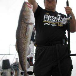 Aquanaut(アクアノート) 釣果