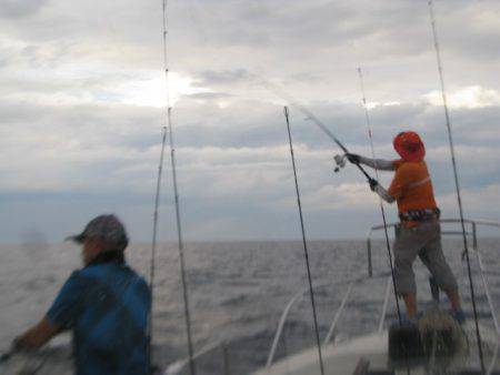 Aquanaut(アクアノート) 釣果