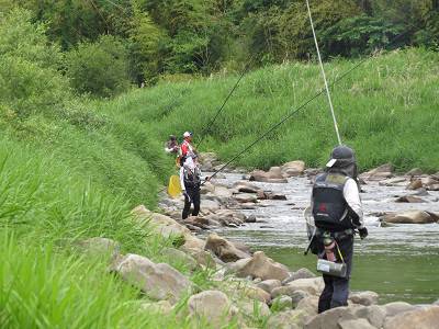 安倍川・藁科川（安倍藁科川漁業協同組合） 釣果