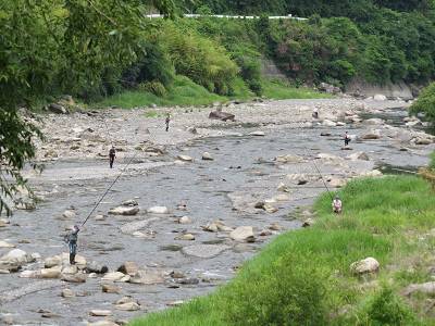 安倍川・藁科川（安倍藁科川漁業協同組合） 釣果