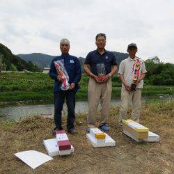 安倍川・藁科川(安倍藁科川漁業協同組合) 釣果