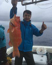 群星・むるぶし 釣果