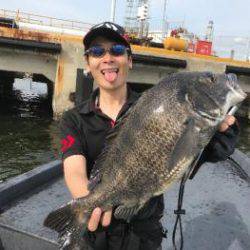 シーマジカル 釣果